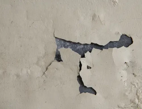 Questions to determine Lead Survey Needs