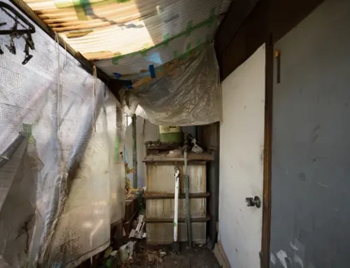 Top FAQs About Asbestos: What You Need to Know